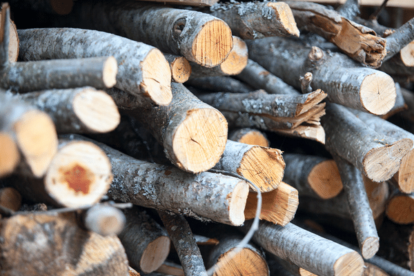 alder-firewood