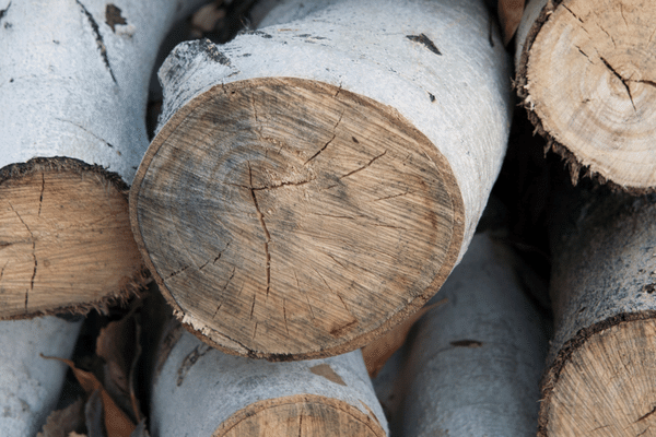 aspen-firewood-2 aspen-firewood-2