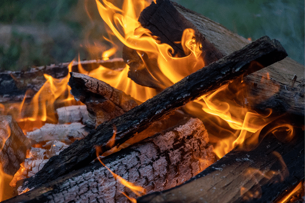 What's the Best Wood to Burn in a Campfire