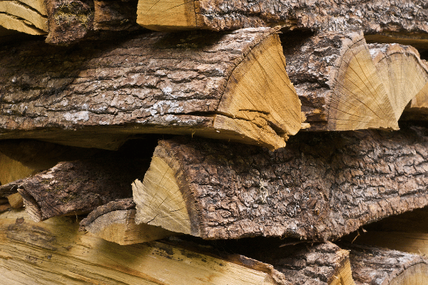 1 Ton of Firewood in my Backyard - Almost 1000 Wood Layers
