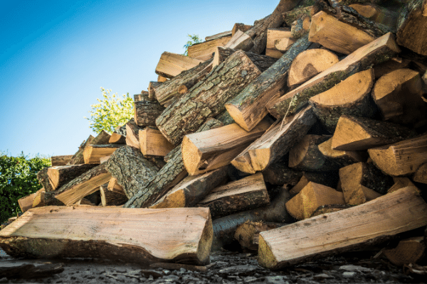 Understanding the Meaning of Seasoned Firewood and Why You Should