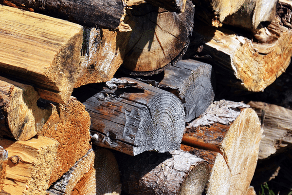 is larch a good wood to burn